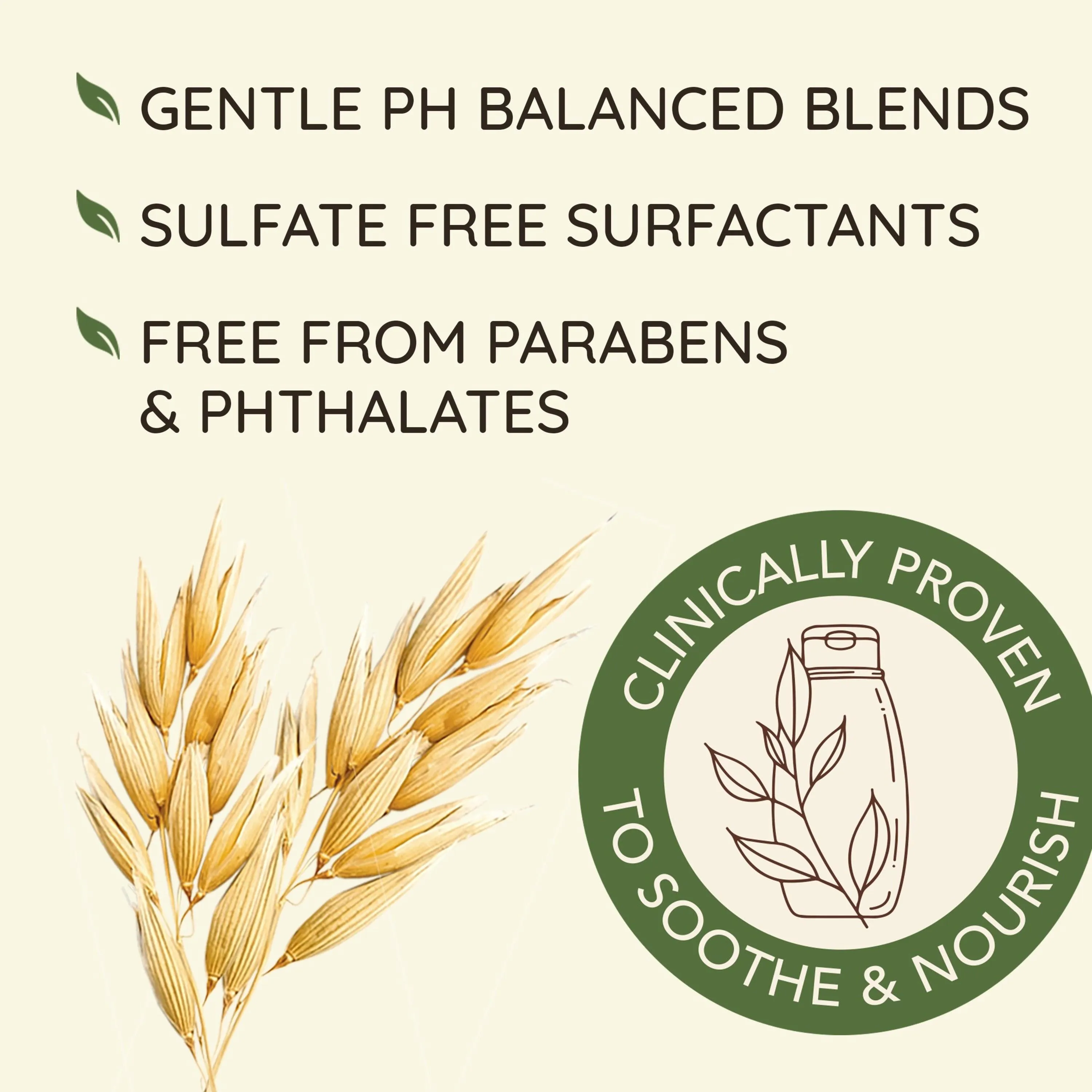 Aveeno Daily Moisture Shampoo Oat Milk Blend for Dry Damaged Hair - 12oz