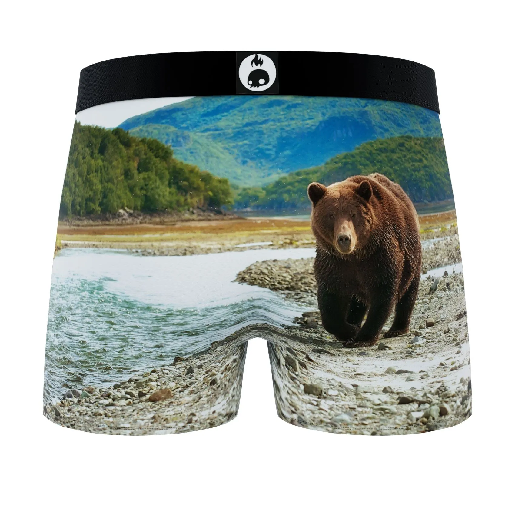 CRAZYBOXER Outdoor Lion Bear Men's Boxer Briefs (3 pack)