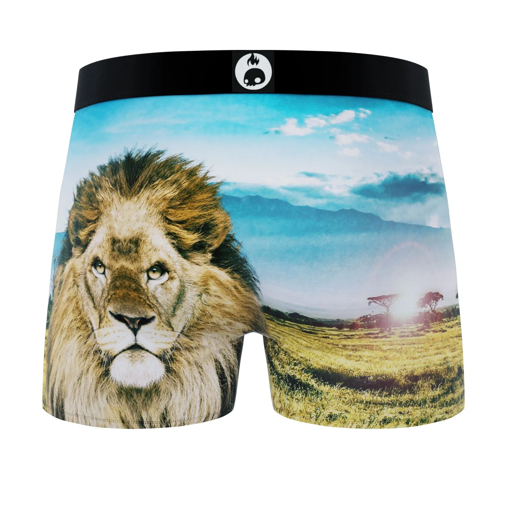 CRAZYBOXER Outdoor Lion Bear Men's Boxer Briefs (3 pack)