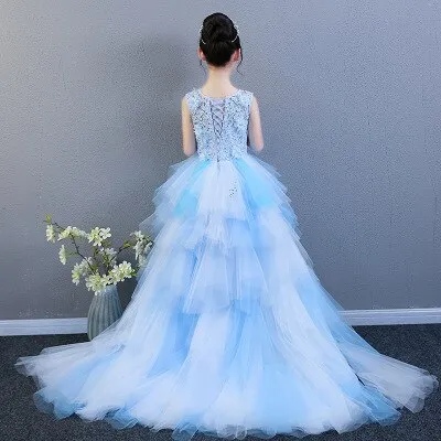 Fancy Flower Girl Dress