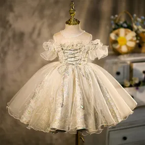 Infant Girl Dresses Girl Ball Gown