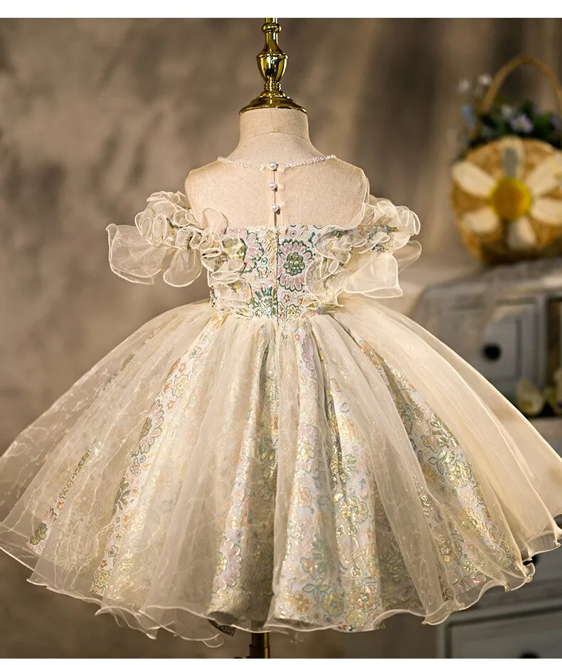 Infant Girl Dresses Girl Ball Gown