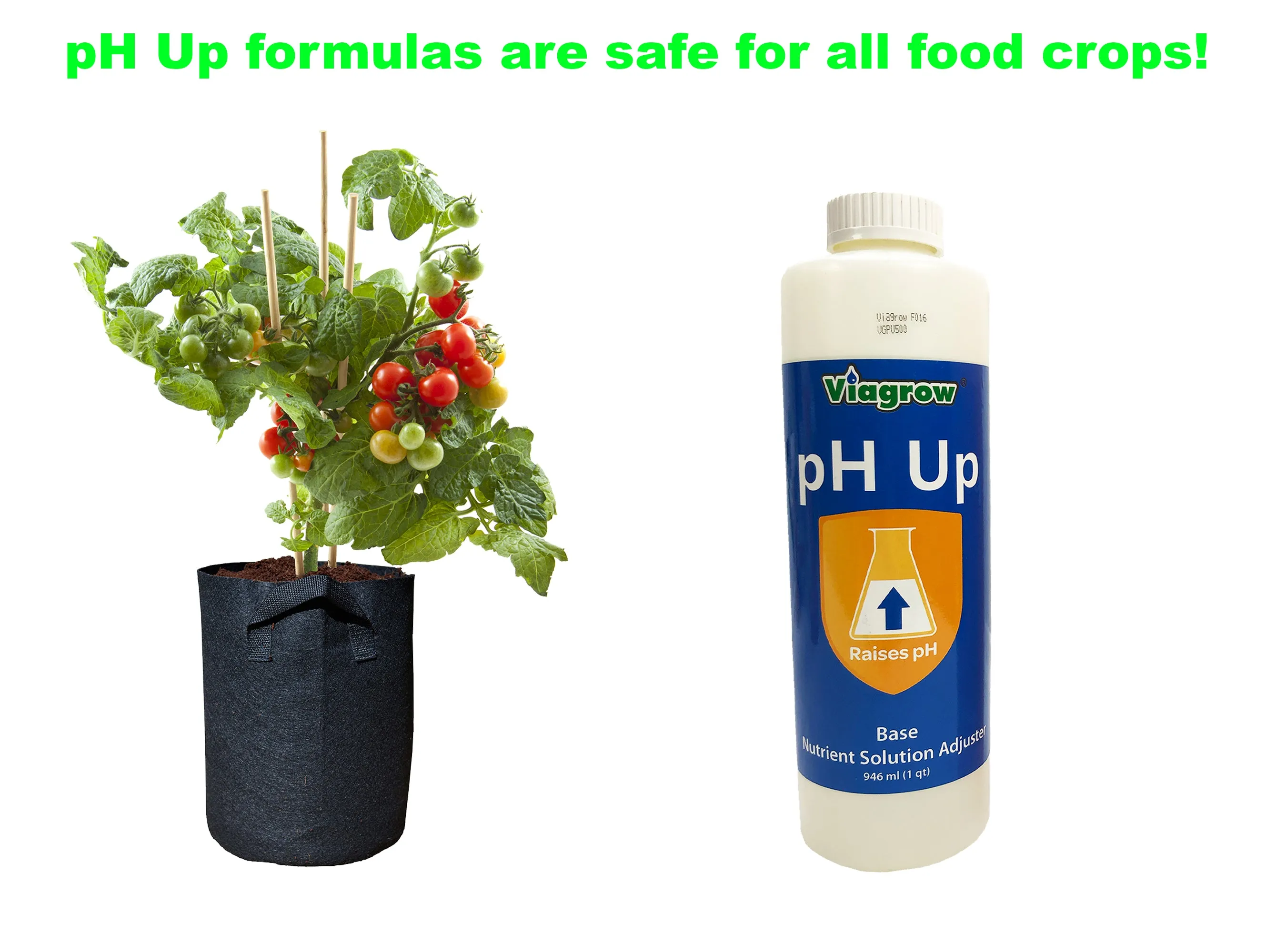 Viagrow 1QT. pH Up Liquid Nutrient Adjusting Solution - Base (Case of 20)