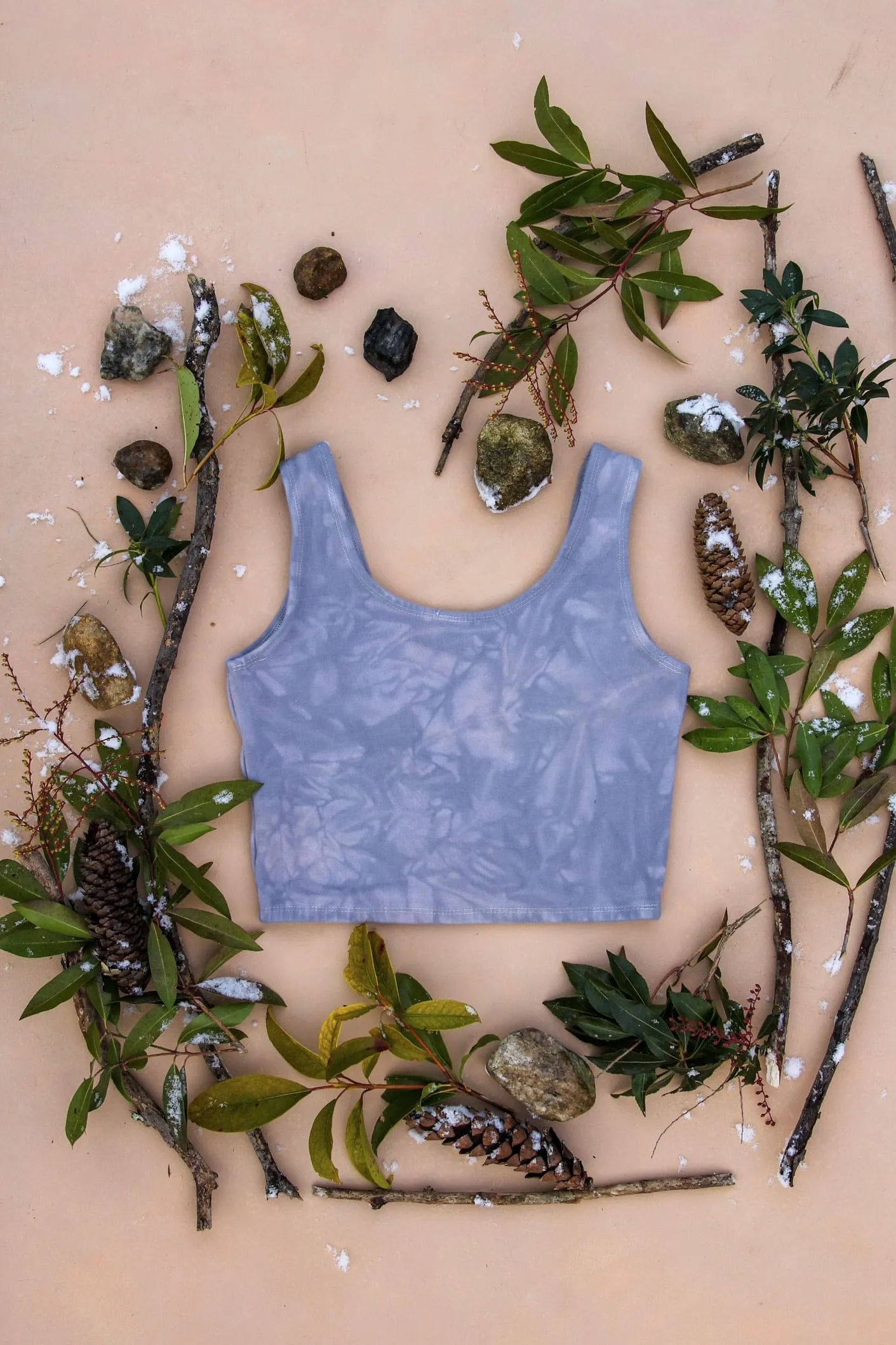 Winter Luna Moth Organic Cotton Bra Top